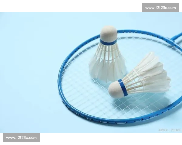 别再盲目跟风！羽毛球拍的选择，适合自己的才是王道